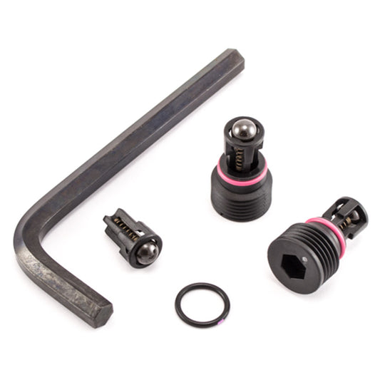 Graco Check Valve Kit - 17P183