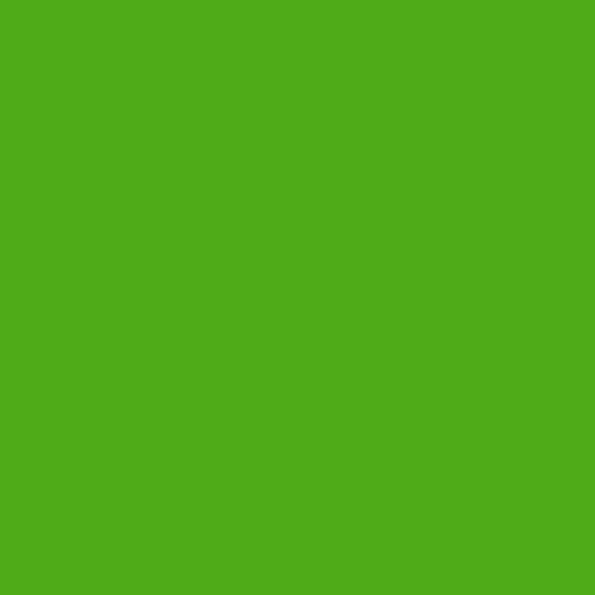 Neon Lime 2031-10