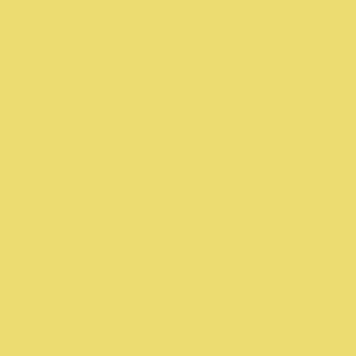 Yellow Finch 2024-40
