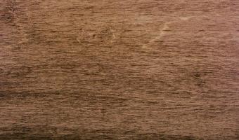 Old Masters Wiping Stain - American Walnut