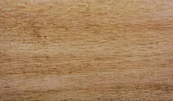 Old Masters Gel Stain - Dark Mahogany