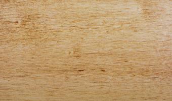 Old Masters Gel Stain - Early American