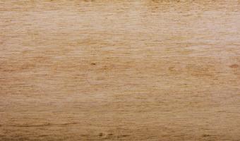 Old Masters Wiping Stain - Special Walnut