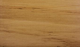 Old Masters Wiping Stain - Dark Walnut