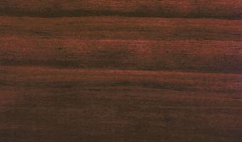 Old Masters Gel Stain - Rich Mahogany