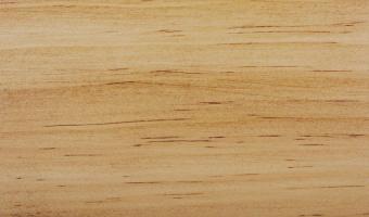 Old Masters Wiping Stain - Special Walnut