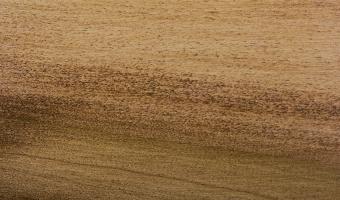 Old Masters Gel Stain - Provincial