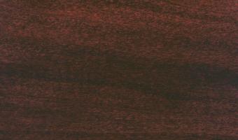 Old Masters Gel Stain - Rich Mahogany