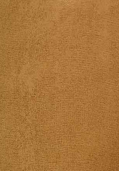 Modern Masters Venetian Plaster